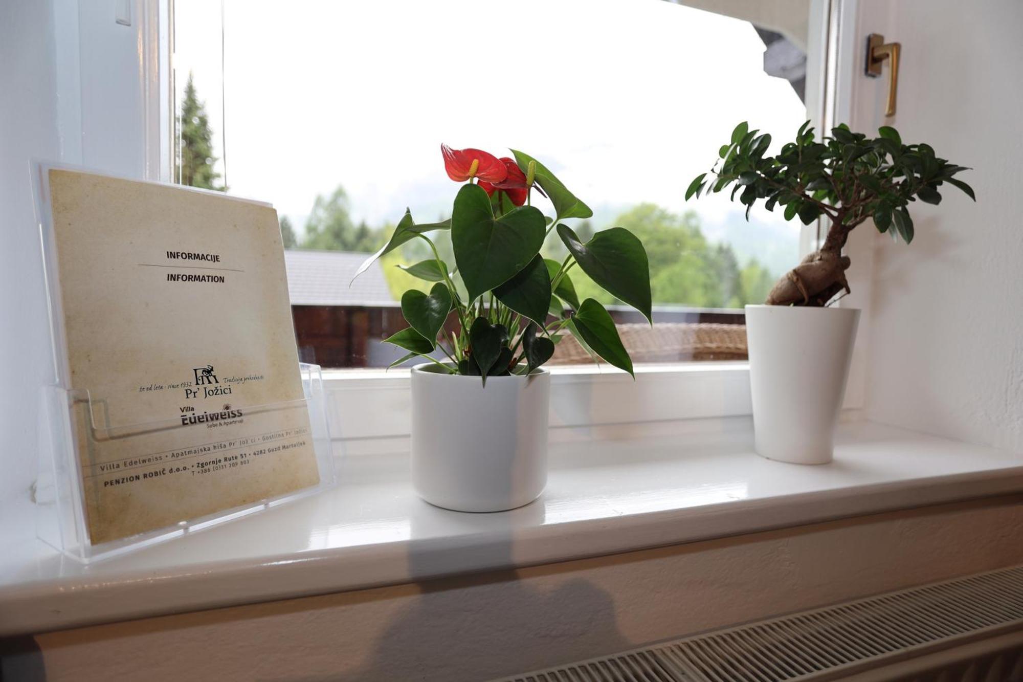 Edelweiss Rooms&app 3* Kranjska Gora